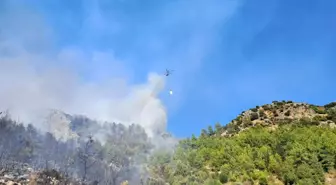 Antalya'daki Orman Yangınına Müdahale Devam Ediyor