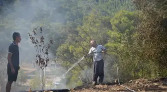 Serik'te orman yangını (3)