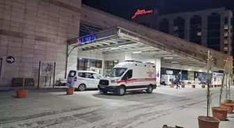Meyve Toplamak İçin Ağaca Çıkan Şahıs Düşerek Hayatını Kaybetti