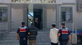Aydın'da İncir Hırsızları Suçüstü Yakalandı