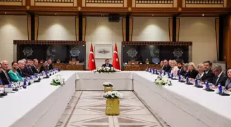Cumhurbaşkanı Yardımcısı Yılmaz, AB Büyükelçileriyle Görüştü