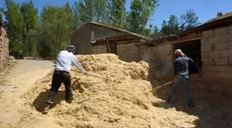 Tercan'da Çiftçiler Kış İçin Samanları Hazırlıyor