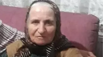 Kocaeli'de Otomobilin Çarptığı 72 Yaşındaki Kadın Hayatını Kaybetti