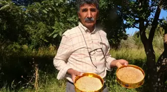 Malatya'da Arıcılıkta Yeni Sezon Başladı: Mehmet Ali Çıplak Uyarıyor