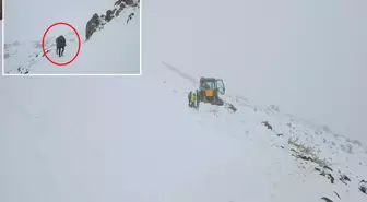 Şehirde kar kalınlığı 30 santimetreyi buldu, çoban sürüsüyle birlikte mahsur kaldı