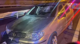 Alkollü Sürücünün Kaza Geçirdiği Anlaşıldı