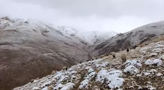 Van Başkale'de Erken Kar Yağışı, Çobanları Zor Durumda Bıraktı