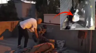 Bir çuval altın çalan zanlılardan biri, damda uyurken yakalandı