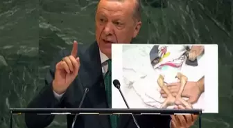 Cumhurbaşkanı Erdoğan'ın BM kürsüsünde gözlerinin dolduğu an: İçim yanıyor