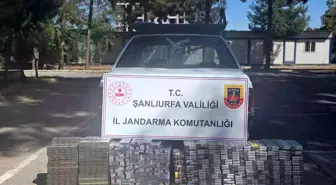 Şanlıurfa'da Gümrük Kaçağı Sigara Operasyonu: 2 Bin 145 Paket Ele Geçirildi