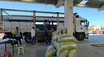 Fasulye Pazarında Üretici ve Tüccarın Yüzü Güldü