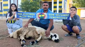 Fenerbahçeli Baba-Kız, Şampiyonluk İçin Hayvan Kestiler