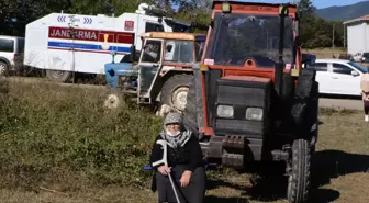 Samsun Atakum'da Hayvan Barınağı Tepkisi