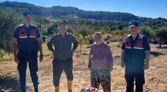 Aydın'da İncir Hırsızlığı Suçüstü