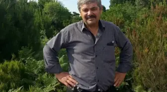 Ordu'da Trafik Kazası: 1 Ölü, 2 Yaralı