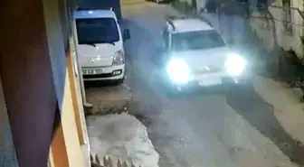 Sinop'ta Yola Fırlayan Yavru Kedi Araç Çarpmasıyla Yaralandı