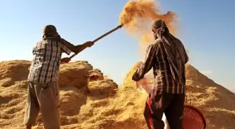 Tarımsal Girdi Fiyat Endeksi Temmuz'da Yüzde 34,22 Arttı