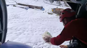 Rize'de Sel ve Kar Felaketi: Mahsur Kalan Yaylalara Helikopterle Yardım