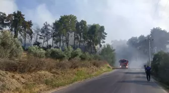 Manavgat'ta Orman Yangını: Ekipler Müdahaleye Devam Ediyor