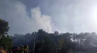 Manavgat'ta Tarım Arazisinde Yangın Kontrol Altına Alındı