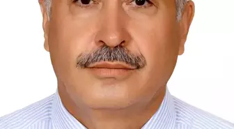 Arı Sokması Sonucu Traktöründe Fenalaşan Yaşlı Adam Hayatını Kaybetti
