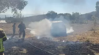 Balıkesir'de Anız Yangını: Zeytin Ağaçları ve Bir Otomobil Zarar Gördü