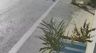Bodrum'da Skuter ve Motosiklet Çarpıştı: 3 Yaralı
