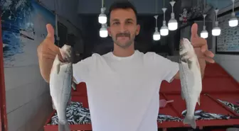 Balıkçı Tezgahları Sardalya ile Doldu: Fiyatlar 200 TL