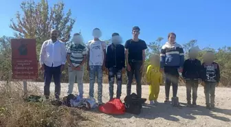 Edirne'de 18 Kaçak Göçmen Yakalandı
