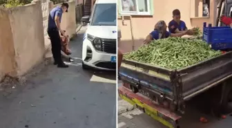 Gariban emekçiye bu yapılır mı? Feryatları bütün mahalleyi inletti