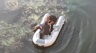 Kızılırmak Nehri'nde Cansız Bedeni Bulunan Kadın Kimliği Belirlendi