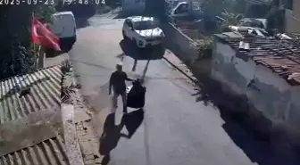 Ümraniye'de Kontrollü Patlatma Anında Sokak Kedileri Panikle Kaçtı