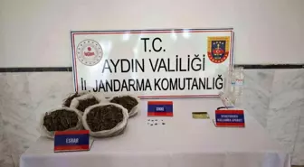Aydın'da Uyuşturucu Operasyonu: 1954 Gram Esrar Ele Geçirildi