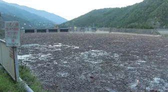 Artvin'de Sel ve Heyelan Sonrası Muratlı Barajı'nda Temizlik Çalışmaları Başladı