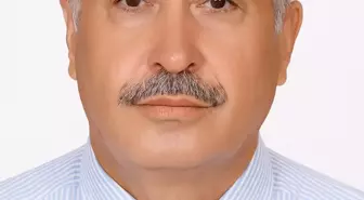 Bafra'da Traktör Direksiyonunda Ölü Bulunan Adamın Arı Sokması İzi Var