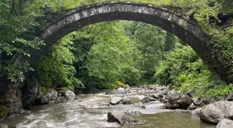Artvin'de Sel, Tarihi Köprüyü Yıktı