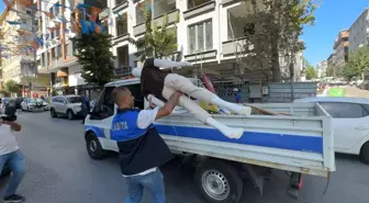 Avcılar'da Kaldırım İşgallerine Karşı Denetim