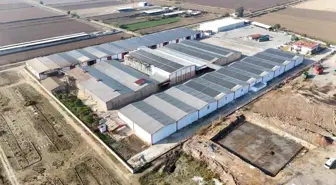 Aydın'da Güneş Enerjisi Sistemi Açılışı Gerçekleşti