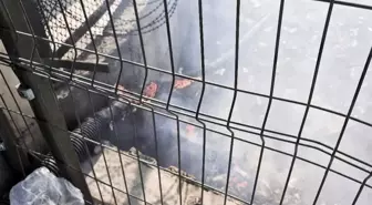 Bayrampaşa'da Metris Cezaevi Yanında Yangın Çıktı