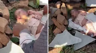Kayalıklarda ağzı taşla kapatılmış 20 günlük bebek bulundu!