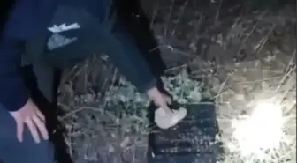 Kırşehir'de Yasa Dışı Avcılık Ekipmanları Ele Geçirildi