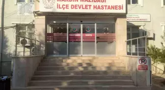 Ceviz Ağacında Düşen Muhtar Ağır Yaralandı