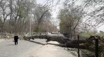 Meteoroloji'den Marmara Bölgesi İçin Kuvvetli Rüzgar Uyarısı