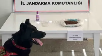 Muş'ta Uyuşturucu Operasyonu: İki Şüpheli Gözaltında