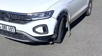 Antalya'da otomobilin çarptığı köpek telef oldu