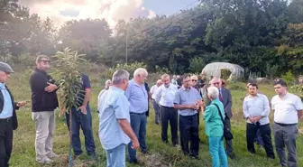Sinop'ta Kestane Balının Geleceği Konferansı Düzenlendi