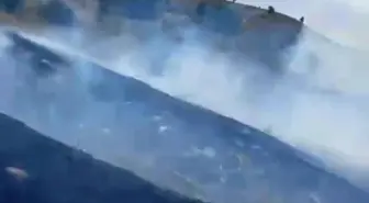 Bolu'da Orman Yangını Kontrol Altına Alındı