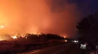 Bursa'da Orman Yangını Büyüyor, Ekipler Mücadele Ediyor