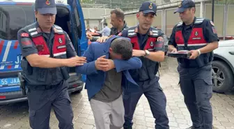 Samsun'da Aile İçi Şiddet: Kadın Cinayeti ve Geçmişteki Olaylar