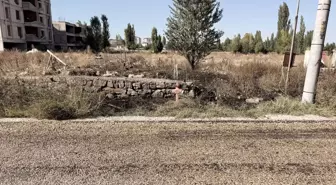 Otları yakmak isterken alevlerin arasına düşen yaşlı adam feci şekilde can verdi